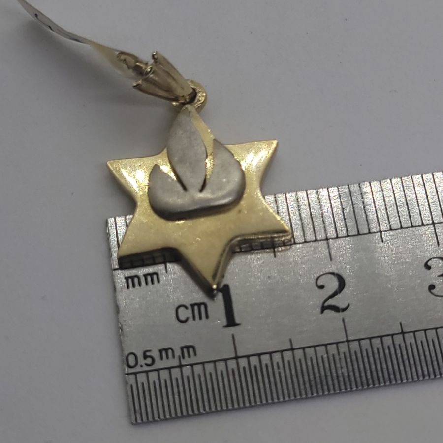 MagenDavid White Gold Shin - Image 8