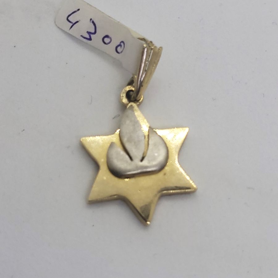 MagenDavid White Gold Shin - Image 10