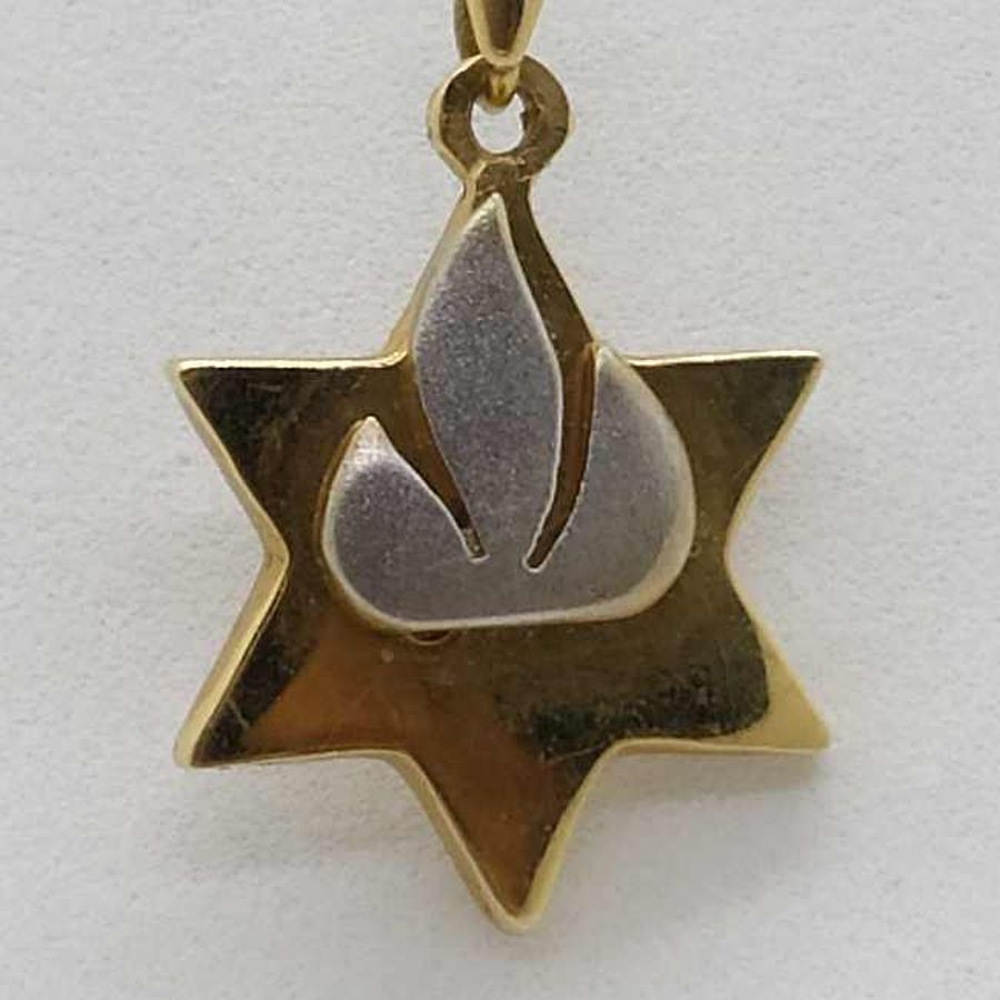 MagenDavid White Gold Shin - Image 3
