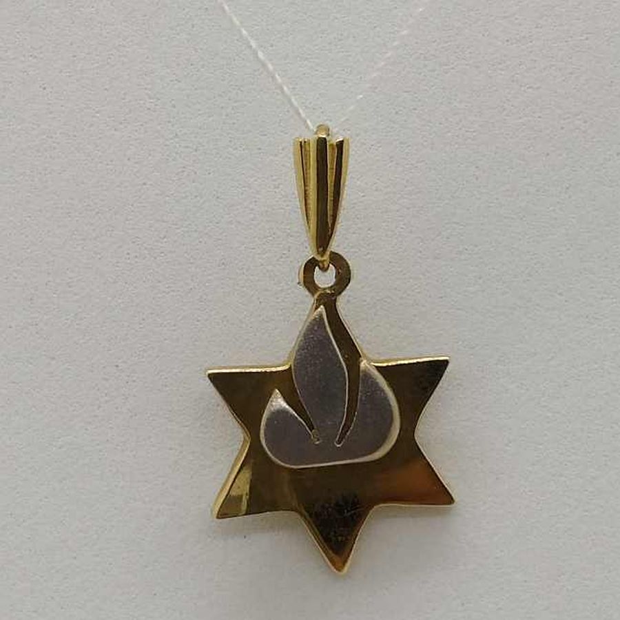 MagenDavid White Gold Shin - Image 5