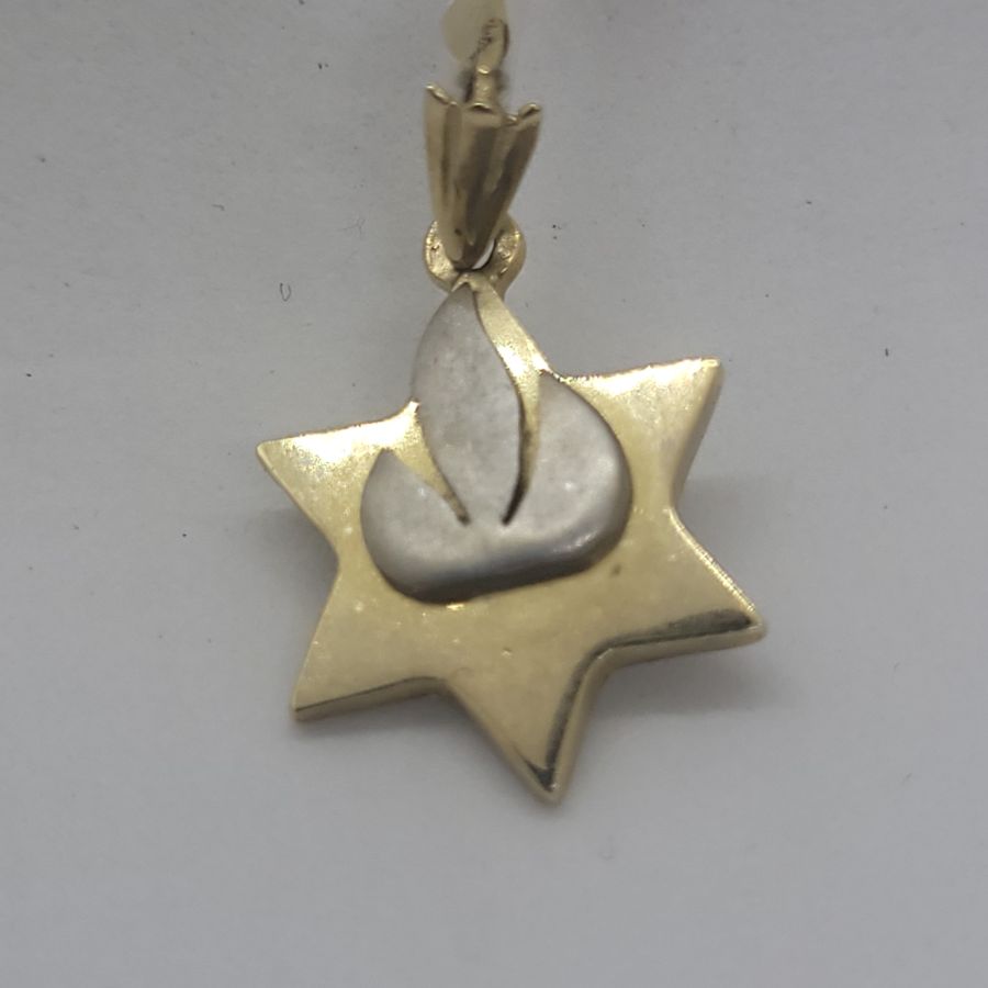 MagenDavid White Gold Shin - Image 6