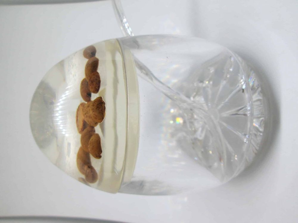 Rosh Hashana Jewish New Year Honey Dish Perspex - Image 3