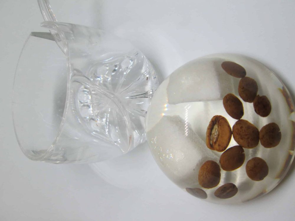 Rosh Hashana Jewish New Year Honey Dish Perspex