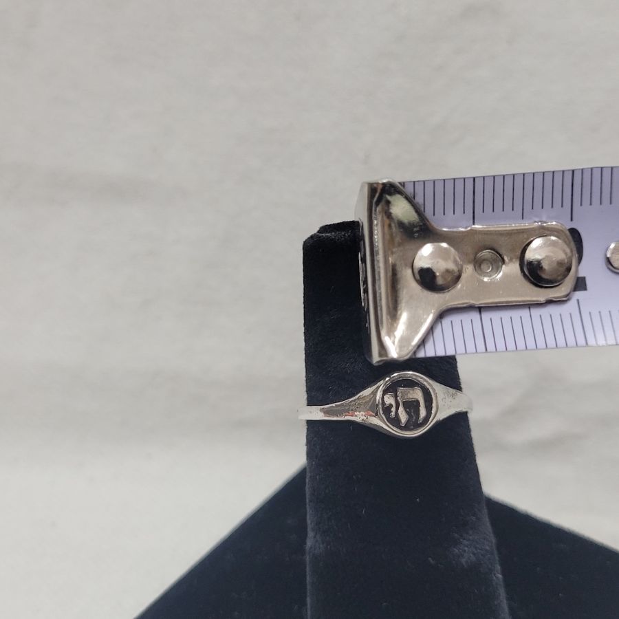 Silver Hay חי ring - Image 2