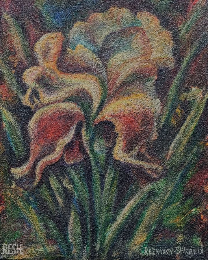 Reznikov skillfully expresses in iris impressionism oil painting the beauty of the natural flower and its colors. Dimension 40 cm X 50 cm approximately.