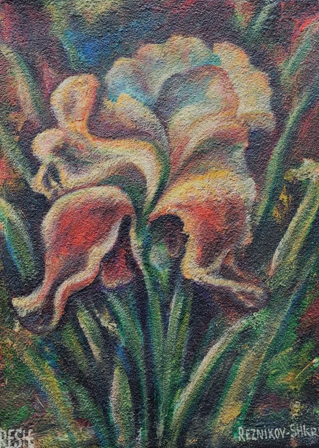 Reznikov skillfully expresses in iris impressionism oil painting the beauty of the natural flower and its colors. Dimension 40 cm X 50 cm approximately.